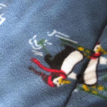Fleece Fabric With Print